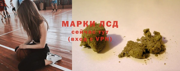 дживик Верхний Тагил