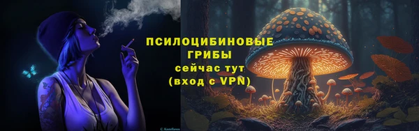 прущая мука Верея