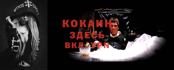 дживик Верхний Тагил
