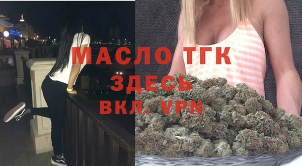 дживик Верхний Тагил