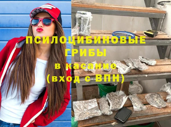 дживик Верхний Тагил