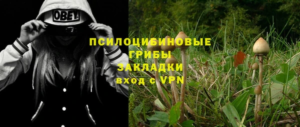 дурь Верхнеуральск