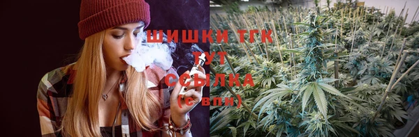 дживик Верхний Тагил