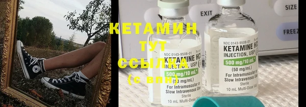 дживик Верхний Тагил